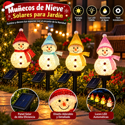 LUZ SOLAR NIEVE