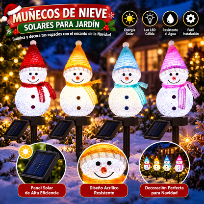 LUZ SOLAR NIEVE