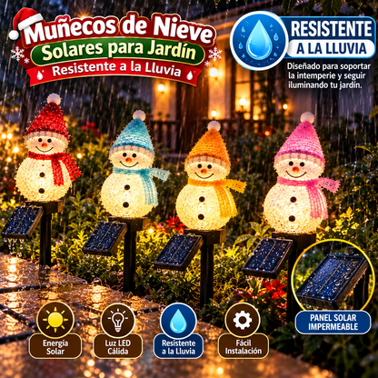 LUZ SOLAR NIEVE