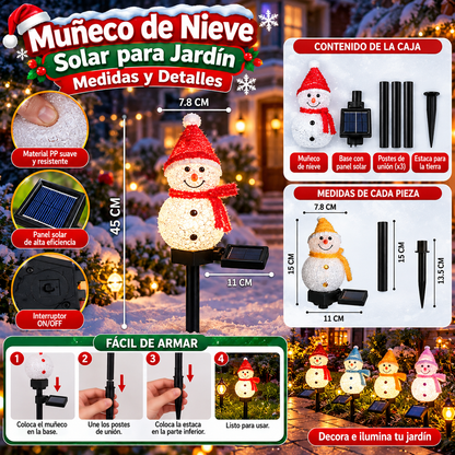 LUZ SOLAR NIEVE