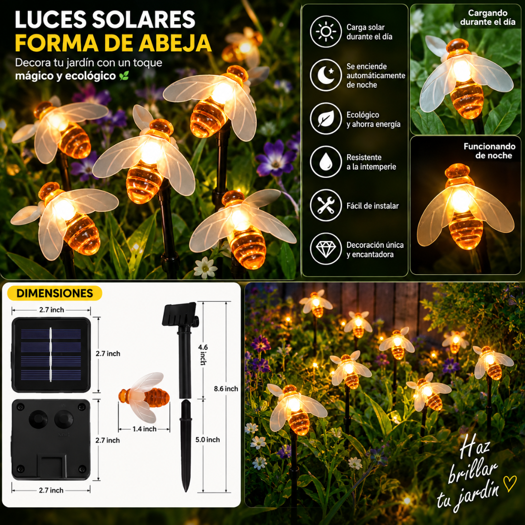 LUZ SOLAR NIEVE