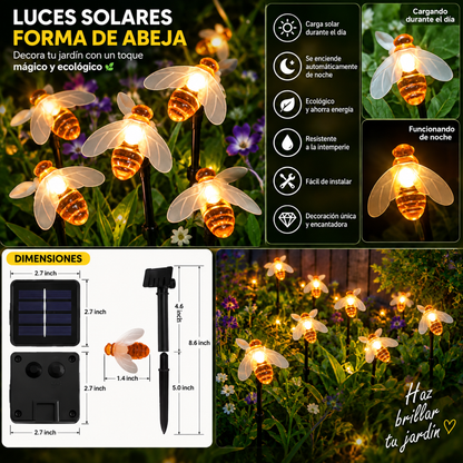 LUZ SOLAR NIEVE