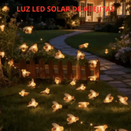 LUZ SOLAR NIEVE