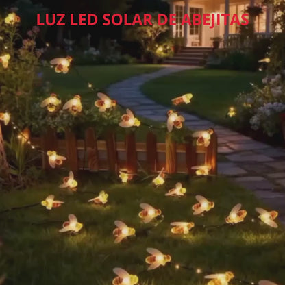 LUZ SOLAR NIEVE